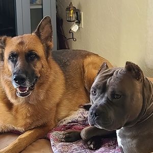 Meet your Posher, Lesa